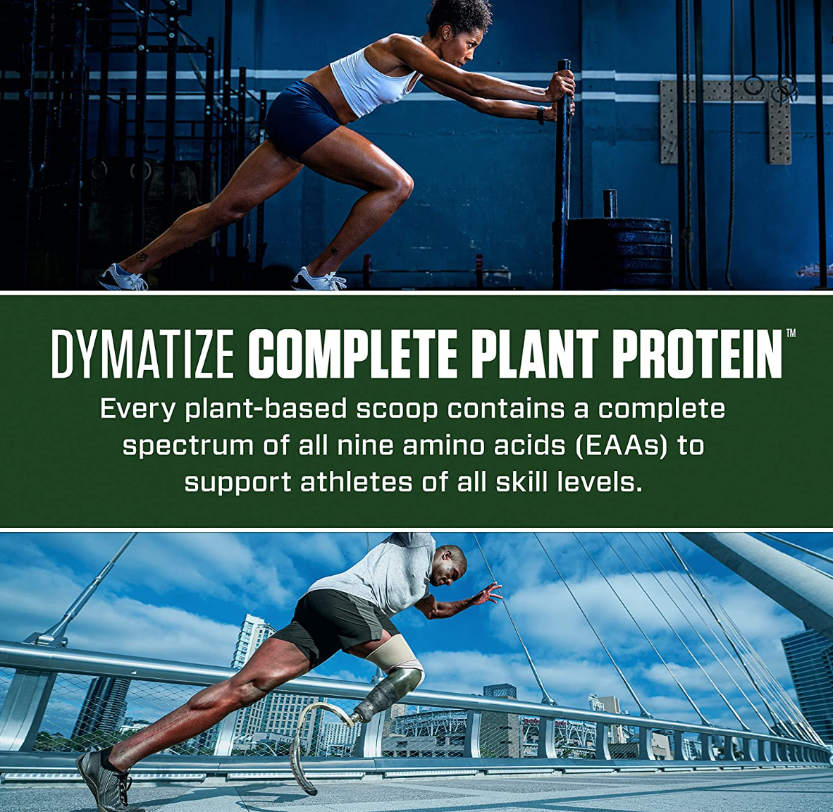 Dymatize Vegan Plant Protein Powder