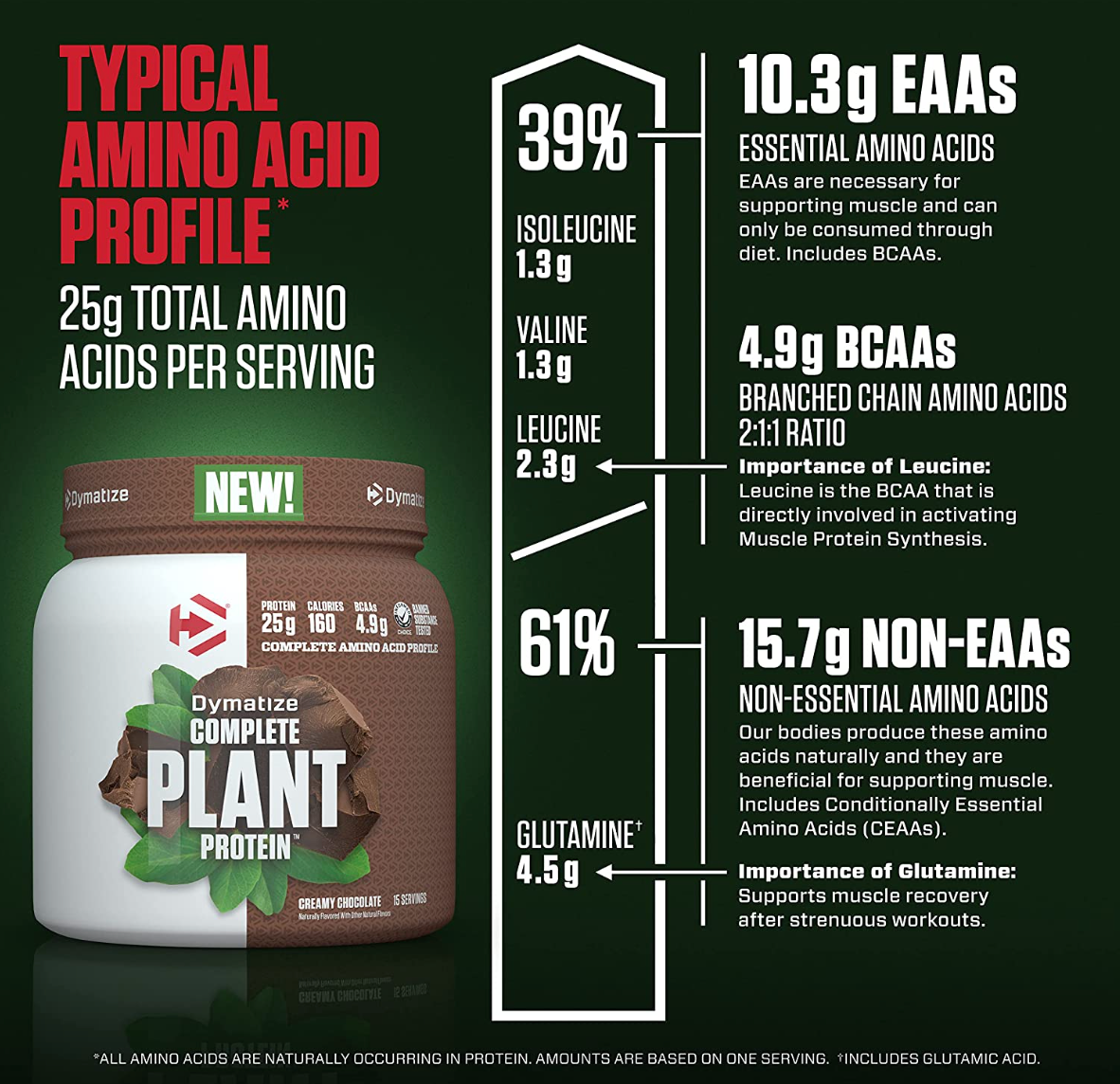 Dymatize Vegan Plant Protein Powder