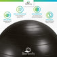 Serenily Exercise Ball for Fitness