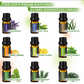Organic Essential Oils Set