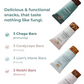 Functional Mushroom Protein Bars | Variety Pack of 12